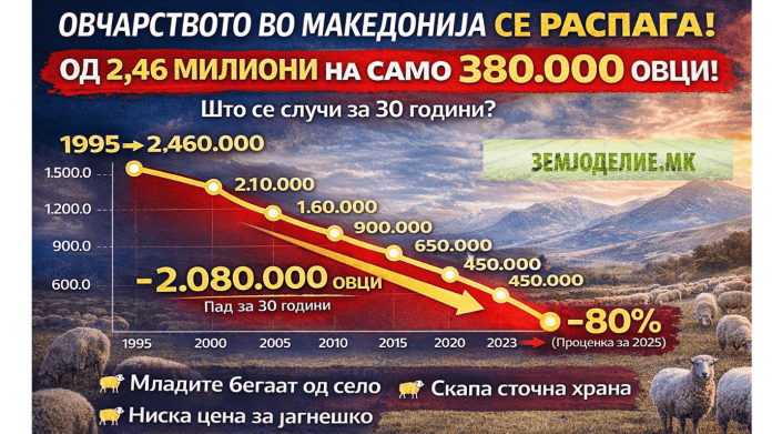 овчарство Македонија