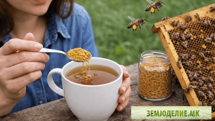 Полен од пчели