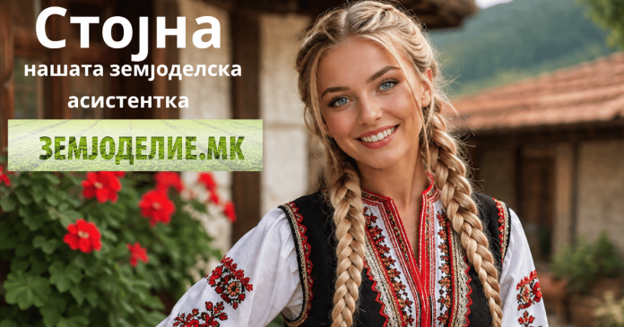 Стојна земјоделие