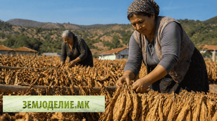 Субвенции за тутун