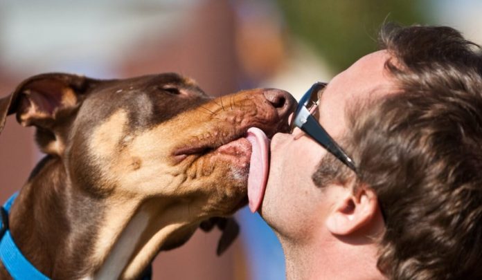 бацување кучиња во уста