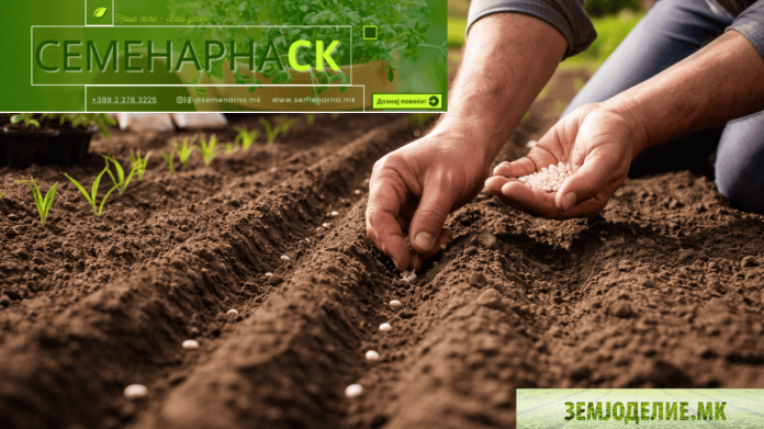 Сезоната започна: Време е за садење со квалитетни семиња од Semenarna.mk Semenarna.mk