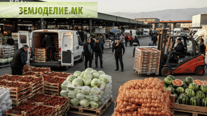 Цени на кванташки пазар Скопје — 19 мај 2026 Цени кванташки пазар Скопје