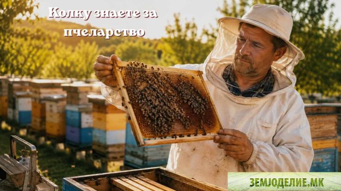 Kolku znaete za pcelarstvo Колку знаете за пчеларство