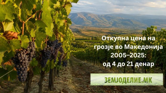 Откупна цена на грозје во Македонија 2005–2025: од 4 до 21 денар — 20 години борба на лозарите откупна цена на грозје во Македонија