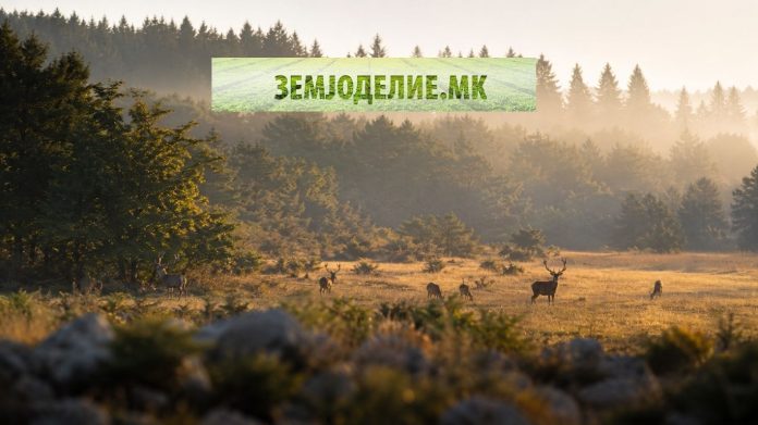 Programa za razvoj na lovstvo 2026 програма за развој на ловството 2026