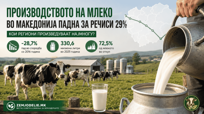 Производството на млеко во Македонија падна за речиси 29% — кои региони произведуваат најмногу? производство на млеко во Македонија