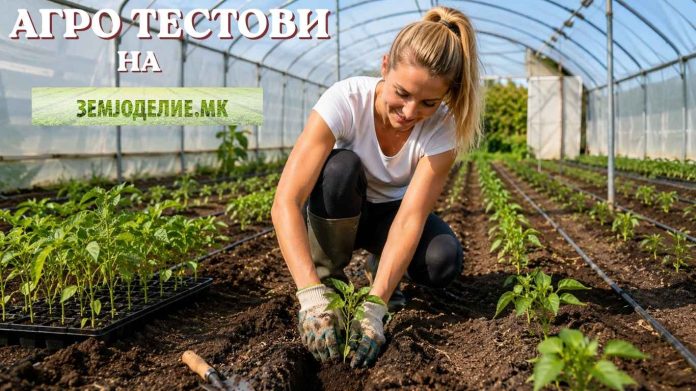 расад за пиперка тест