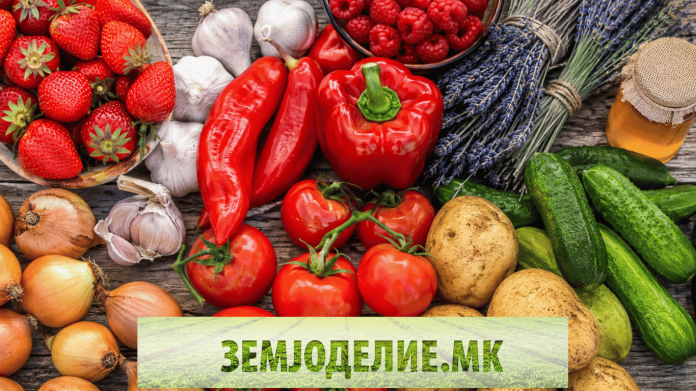Заработка по декар