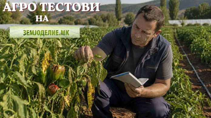 болести кај пиперката тест