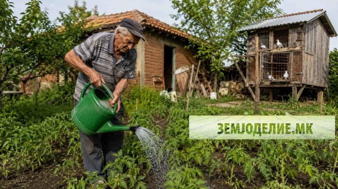 gjubrivo od gulabi ѓубриво од гулаби