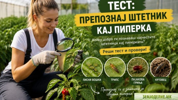 штетници кај пиперка тест