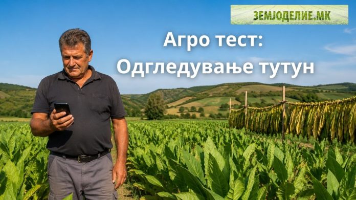 Agro test tutun агро тест тутун