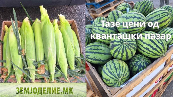Цени на кванташки пазар Скопје – 20.06.2026
