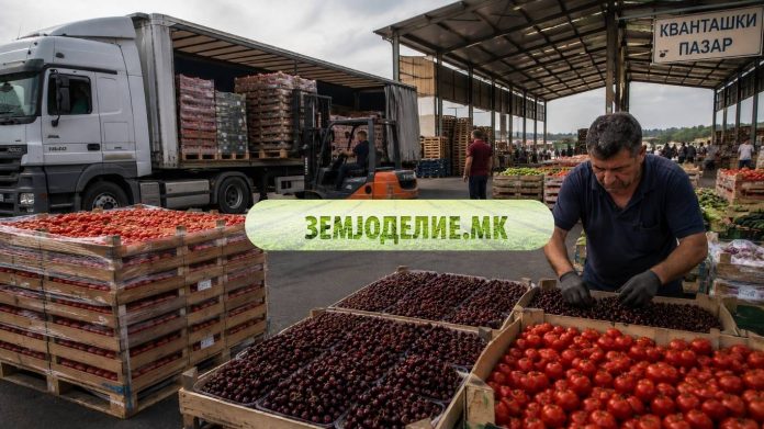 Цени на кванташки пазар Скопје 10.06.2026 – пад на цреши и домати Цените на кванташки 10.06.2026