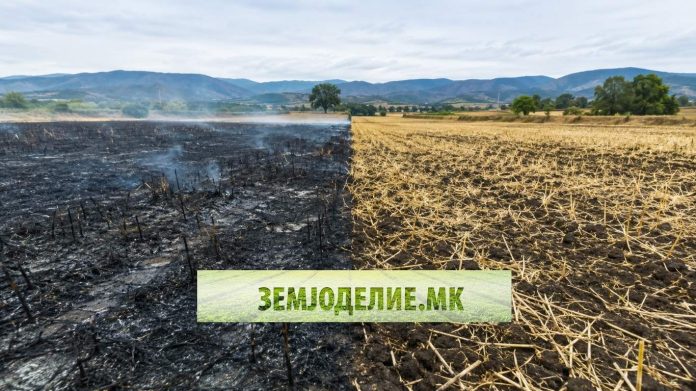 палење на нивите