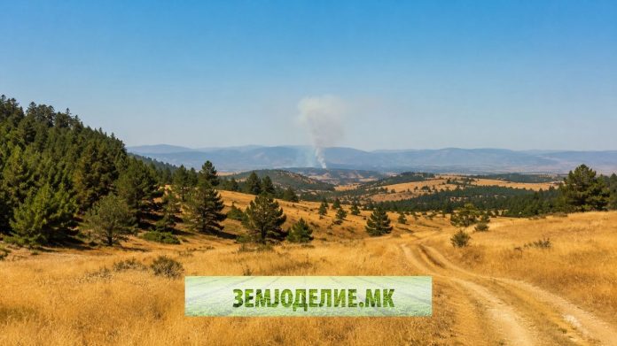 Забрана за движење во шумите