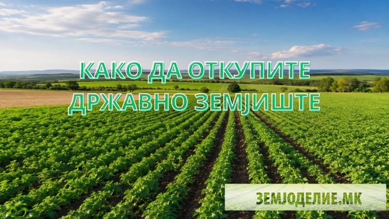 Откуп на државно земјоделско земјиште – целосен водич