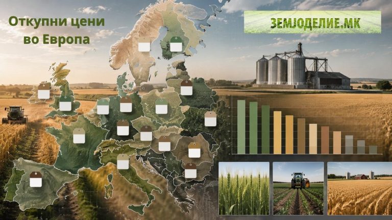 Откупни цени во Европа – Голема анализа на 50 производи