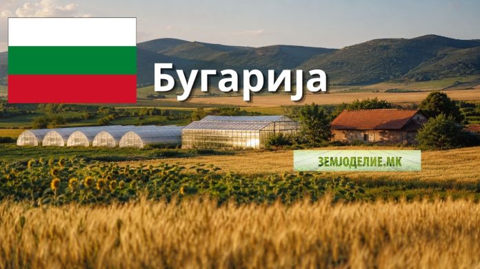 Субвенции во Бугарија 2026: сите износи и еден услов субвенции во Бугарија