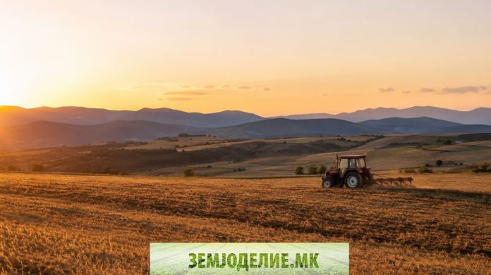 закуп на земjоделско земjиште