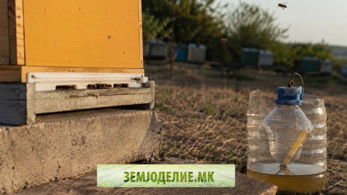 zastita na pcelite od osi заштита на пчелите од оси