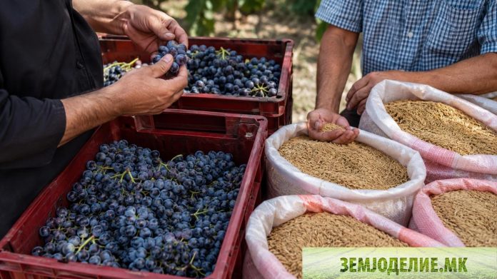 кредит за откуп на земјоделски производи