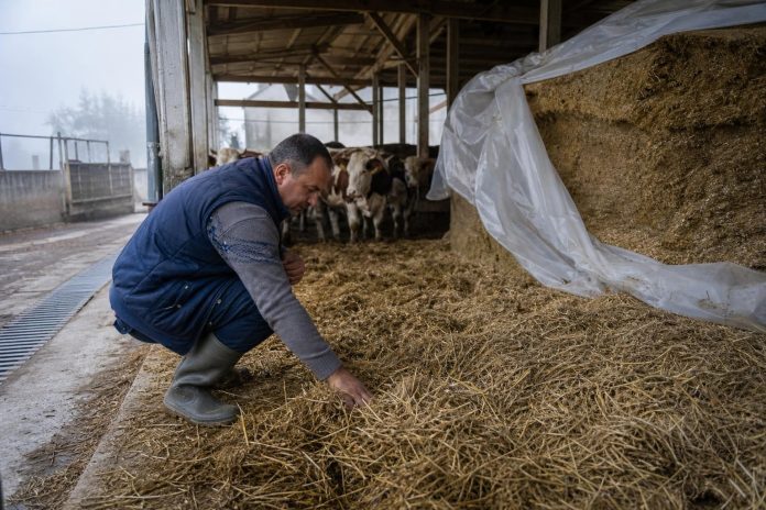 esenska-proverka-stocarska-farma-pred-stud-i-vlaga Сточар проверува сува простирка и објект пред зимата