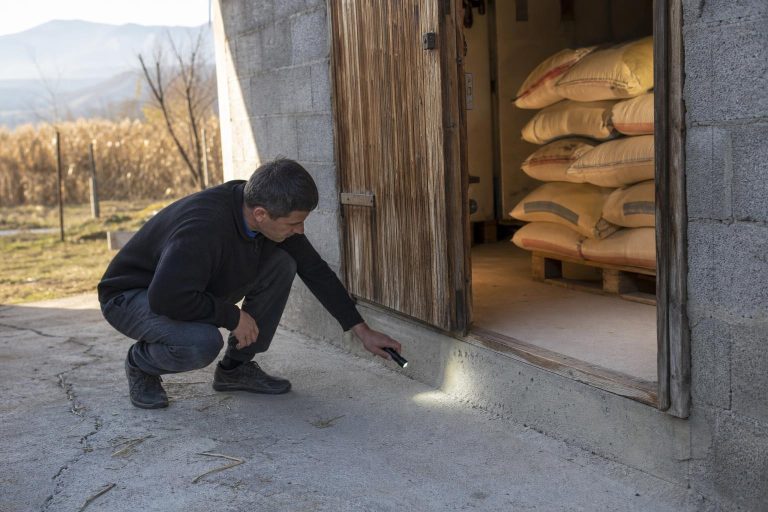 Глодари во магацин и штала: есенска превенција без ризик за храната и стоката