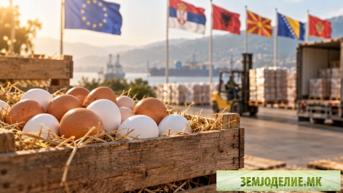 Македонија го удвои извозот на јајца — Грција купува, Србија снабдува Извоз на јајца Македонија