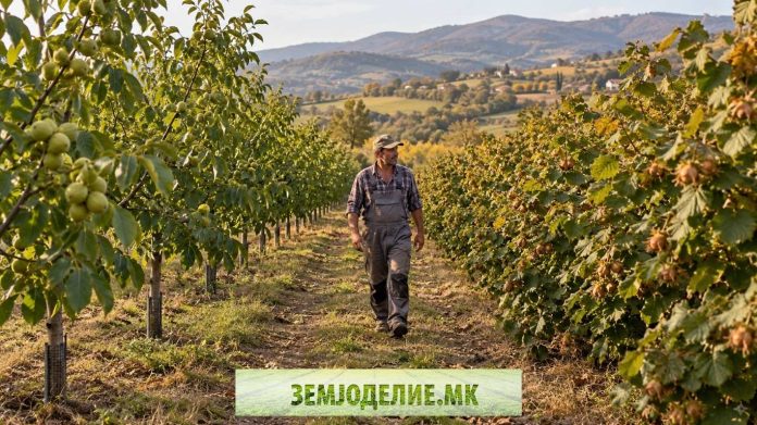 орев или лешник