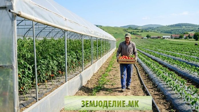 plastenik ili otvoreno pole пластеник или отворено поле