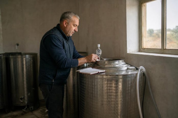 Винската визба по бербата: како да ја следите ферментацијата и да спречите расипување Мал производител ја проверува ферментацијата во винска визба